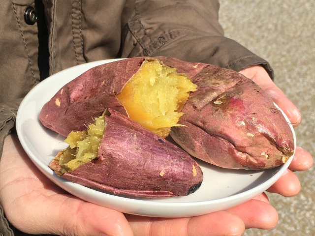 さつまいもアク抜きしないとどうなる?変色・渋み・栄養の真実を徹底解説!