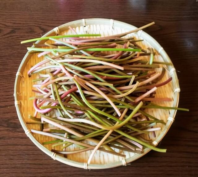 さつまいもずいきの画像