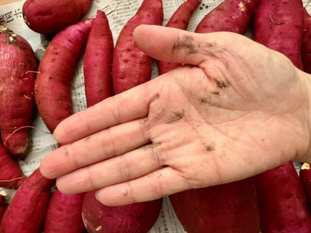 さつまいものベタベタ落とし方完全ガイド｜手・鍋・衣類まで徹底解説
