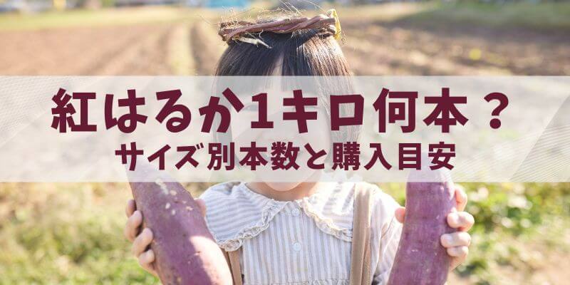 紅はるか1キロ何本か知りたい人必見！サイズ別本数と購入目安