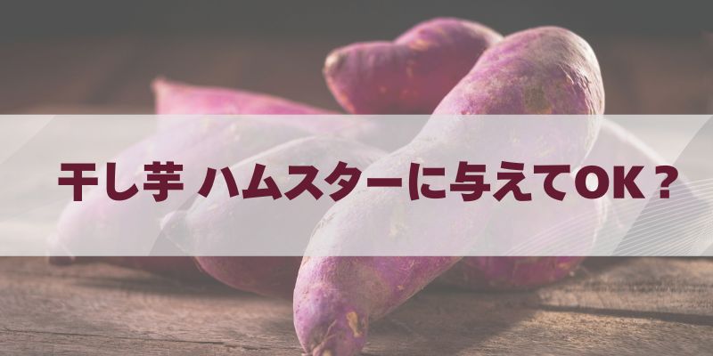 干し芋 ハムスターに与えていい？適量・頻度・注意点を解説