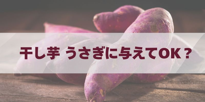 干し芋 うさぎに与えていい？適量・頻度・安全な与え方