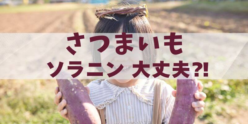 さつまいもソラニン大丈夫？のイメージ