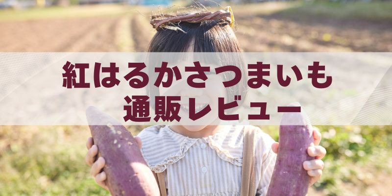 紅はるかさつまいも　通販レビュー熟成で甘すぎる焼き芋