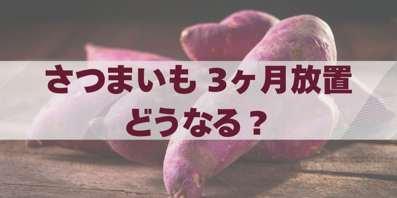さつまいもを3ヶ月放置するとどうなる？ブログ記事